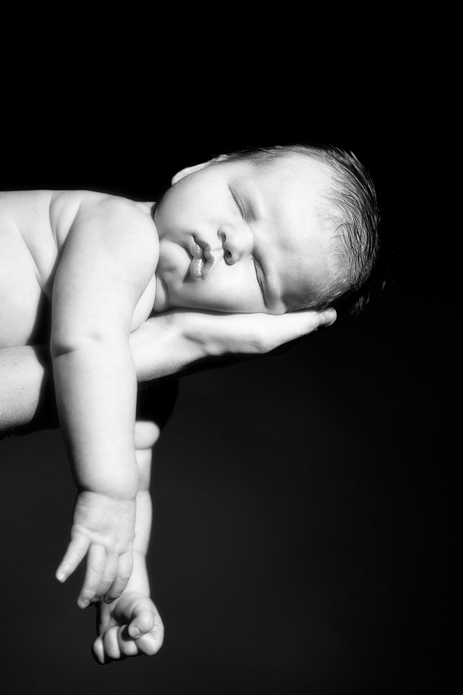 Park City Baby Photography Portraits