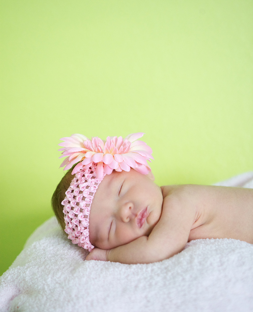 Park City Baby Photography Portraits