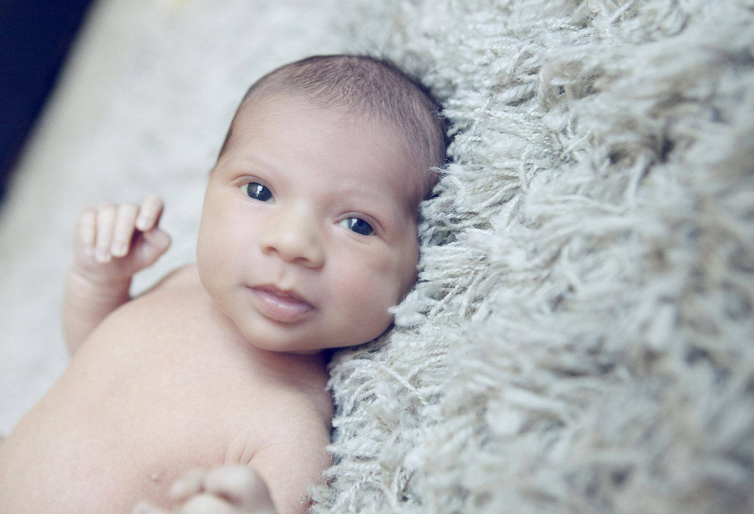Park City Newborn Portrait Photography